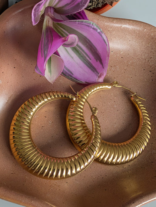 THE UNIFORM HOOPS